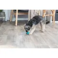 Következő termékkép DENTAfun labda mentával 5 cm TRIXIE