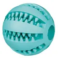 Következő termékkép DENTAfun labda mentával 5 cm TRIXIE