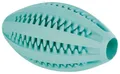 DENTAfun RUGBY labda mentával 11cm TRIXIE
