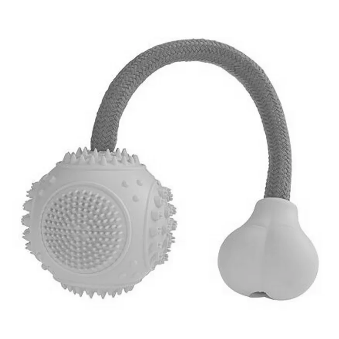 Termék főképe Dentální mátový míček s růžovým lanem 6cm/25cm HipHop