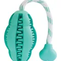 Következő termékkép Fogápolás menta Ugrálás kötélen 8,5/27cm HipHop