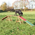 Következő termékkép Dog Activity AGILITY edzőhíd 456x64x30 cm