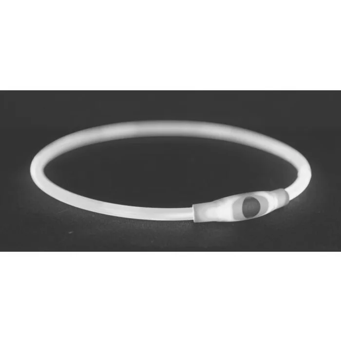 Termék főképe Flash light ring USB, blikací obojek, modrá S-M: 40 cm/ o 8 mm