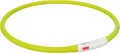 Következő termékkép Flash USB világító gallér XS-XL 70 cm / 10 mm, zöld