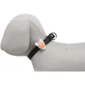 Villogó kutyáknak 2,4 cm / 8 cm fehér/színes mancs