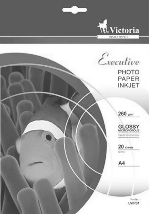 Termék főképe Foto papír "Executive", do inkoustové tiskárny, vysoce lesklý, A4, 260g, VICTORIA 20 listů