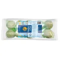 GARDEN FUN csomag faggyúgolyó madaraknak á 90g (10 db csomagban)
