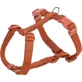 H-heveder PREMIUM, rozsdás M-L: mellkas:52-75cm/20mm