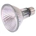 Következő termékkép HeatSpot Pro, Halogén Basking SpotLamp 75 W