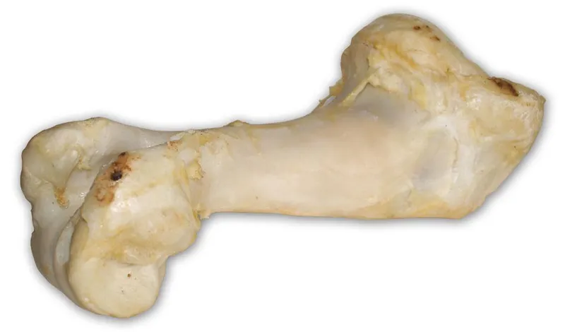 Termék főképe Hovězí kost bílá - extrudovaná 1 ks/36 cm