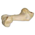Következő termékkép Marhacsont fehér - extrudált 1 db/36 cm