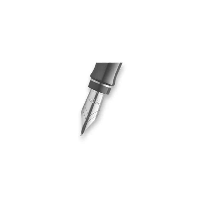 Termék főképe Hrot Waterman Expert CT hrot EF