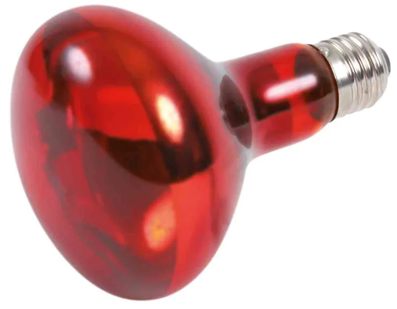 Termék főképe Infrared Heat Spot-Lamp red 100 W
