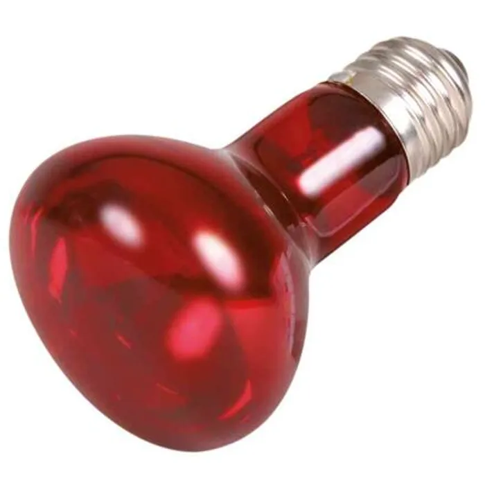 Termék főképe Infrared Heat Spot-Lamp red 35 W