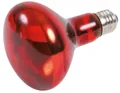 Infravörös Heat Spot-Lamp piros 50 W