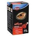 Infravörös Heat Spot-Lamp piros 75 W