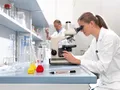 Laboratóriumi toll "8015", fekete, 0,75 mm, kerek hegy, EDDING