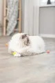 Következő termékkép Süngolyók mohagumi 3,5 cm 4 db