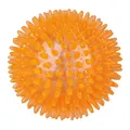 Következő termékkép Sünlabda, kemény műanyag (TPR) 12 cm