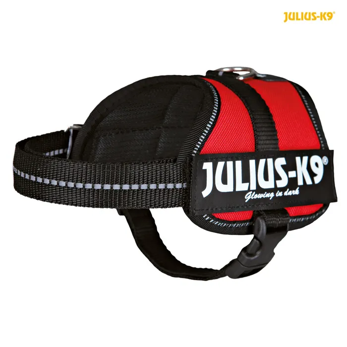 Termék főképe Julius-K9 silový postroj Baby 2/XS-S 33-45 cm, - červená