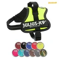 Következő termékkép Julius-K9 kábelköteg Mini-Mini/XS 40-53 cm/22 mm, óceán - AKCIÓ