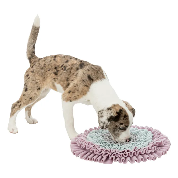 Termék főképe JUNIOR Dog Activity čichací koberec 38 cm