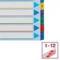 Esselte Mylar karton indexek újraírható előlappal, A4 Maxi, Vegyes színek