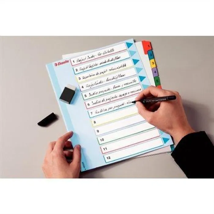 Termék főképe Kartonové rejstříky Esselte Mylar s přepisovatelným předním listem, A4 Maxi, Mix barev