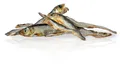 Következő termékkép KIDCAT SUPER PREMIUM 100% szárított valódi TENGERI SPRAT - mini szárított tengeri spratt, 6 cm / 40 g