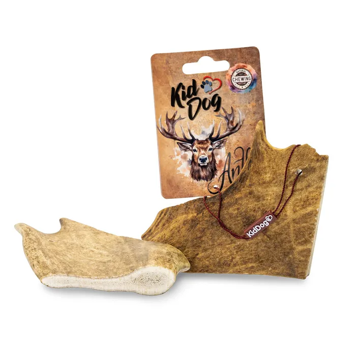 Termék főképe KIDDOG Antler, dančí paroh - L