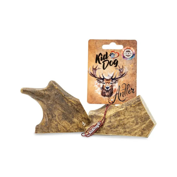 Termék főképe KIDDOG Antler, dančí paroh - M