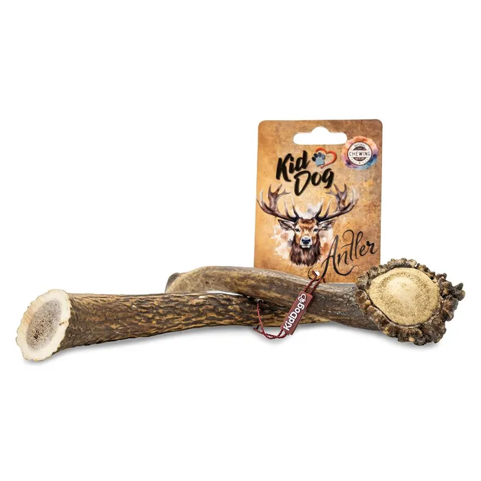 Termék főképe KIDDOG Antler, jelení paroh celý - L