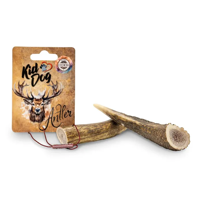 Termék főképe KIDDOG Antler, jelení paroh celý - M