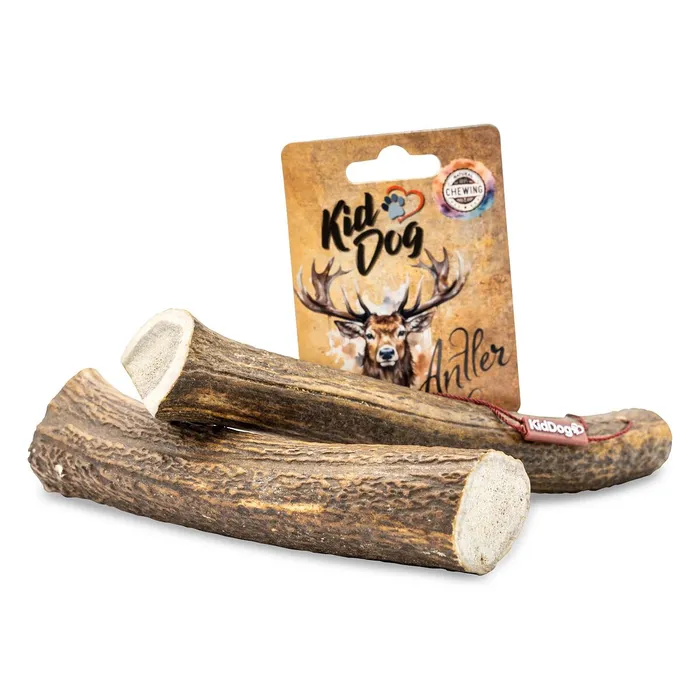 Termék főképe KIDDOG Antler, jelení paroh celý - XL