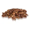 Következő termékkép KIDDOG bárány chips tengeri tőkehal 80 g