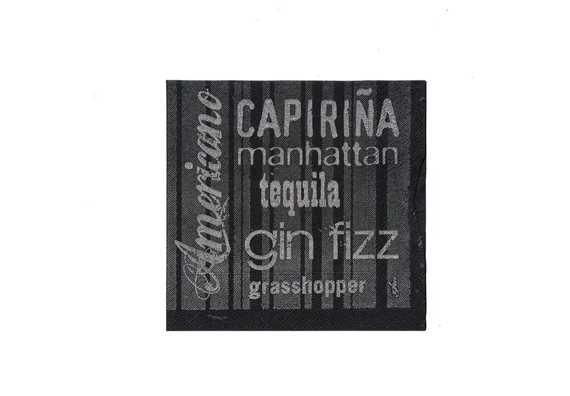 Termék főképe Koktejlové ubrousky Infibra Drink 2vrstvé 25 × 25 cm černé s bílým potiskem [100 ks]