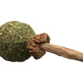 Következő termékkép Rágónyalóka MATATABI 11 cm natúr termék