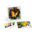 Következő termékkép Maped Creativ Paint számozott tukán és pillangó kreatív készlet