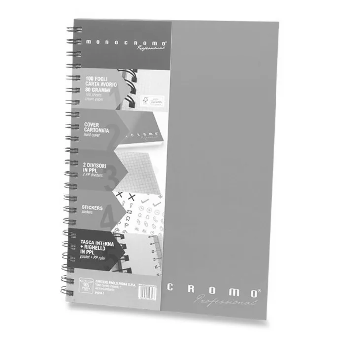 Termék főképe Kroužkový blok Pigna Monocromo Professional A4, čtverečkovaný, 100 listů, mix barev