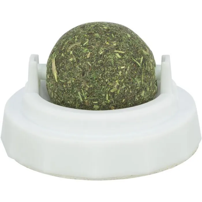 Termék főképe Kulička Catnipu v samolepícím držáku, 5 cm, bílá/zelená