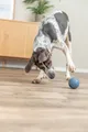 Következő termékkép Labirintus-Snacky labda finomságokhoz keménygumi 7 cm TRIXIE
