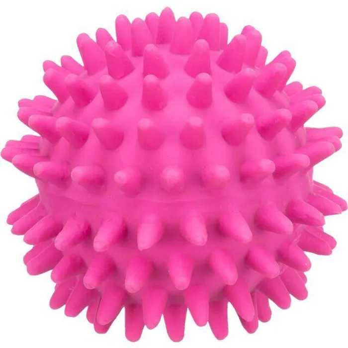 Termék főképe Latexový ježatý míček se zvukem 6 cm TRIXIE