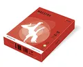 MAESTRO color INTENSIVE 80g 500 lap Coral Red - CO44