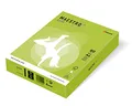 MAESTRO színes INTENZÍV 80g 500 lap Lime Green - LG46