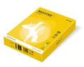 MAESTRO color INTENSIVE 80g 500 leveles Mustár - IG50