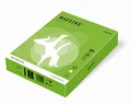 MAESTRO color INTENSIVE 80g 500 lap Spring Green - MA42