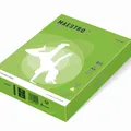 Következő termékkép MAESTRO color INTENSIVE 80g 500 lap Spring Green - MA42