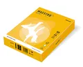 MAESTRO color INTENSIVE 80g 500 lap Sun Yellow - SY40