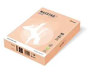 MAESTRO színes PASTELL 160g 250 lap Lazac - SA24