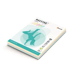 MAESTRO színes PASTELL 80g 250 lap MIX színek